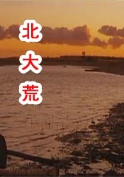 护士给我做囗交